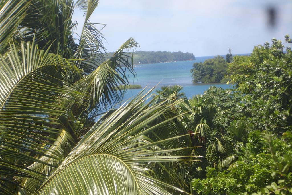 Finjam Cottage Port Antonio Eksteriør bilde