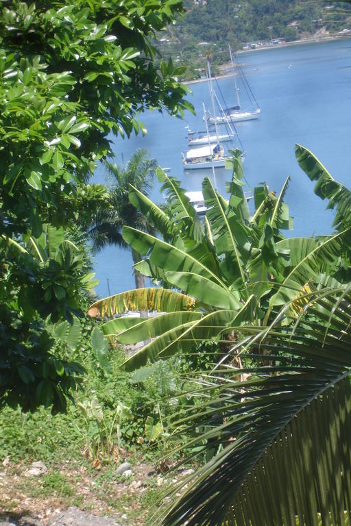 Finjam Cottage Port Antonio Eksteriør bilde